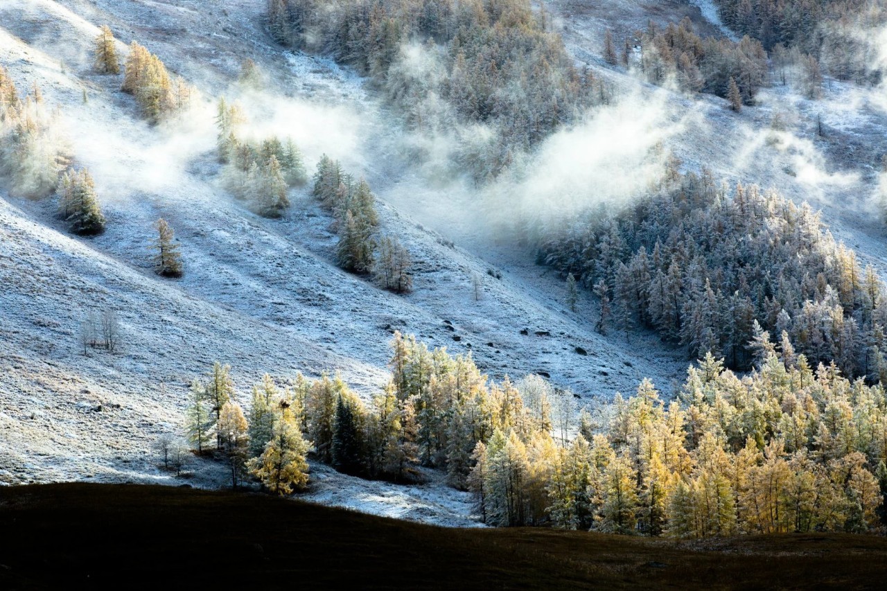 新疆，稳定繁荣的西北明珠