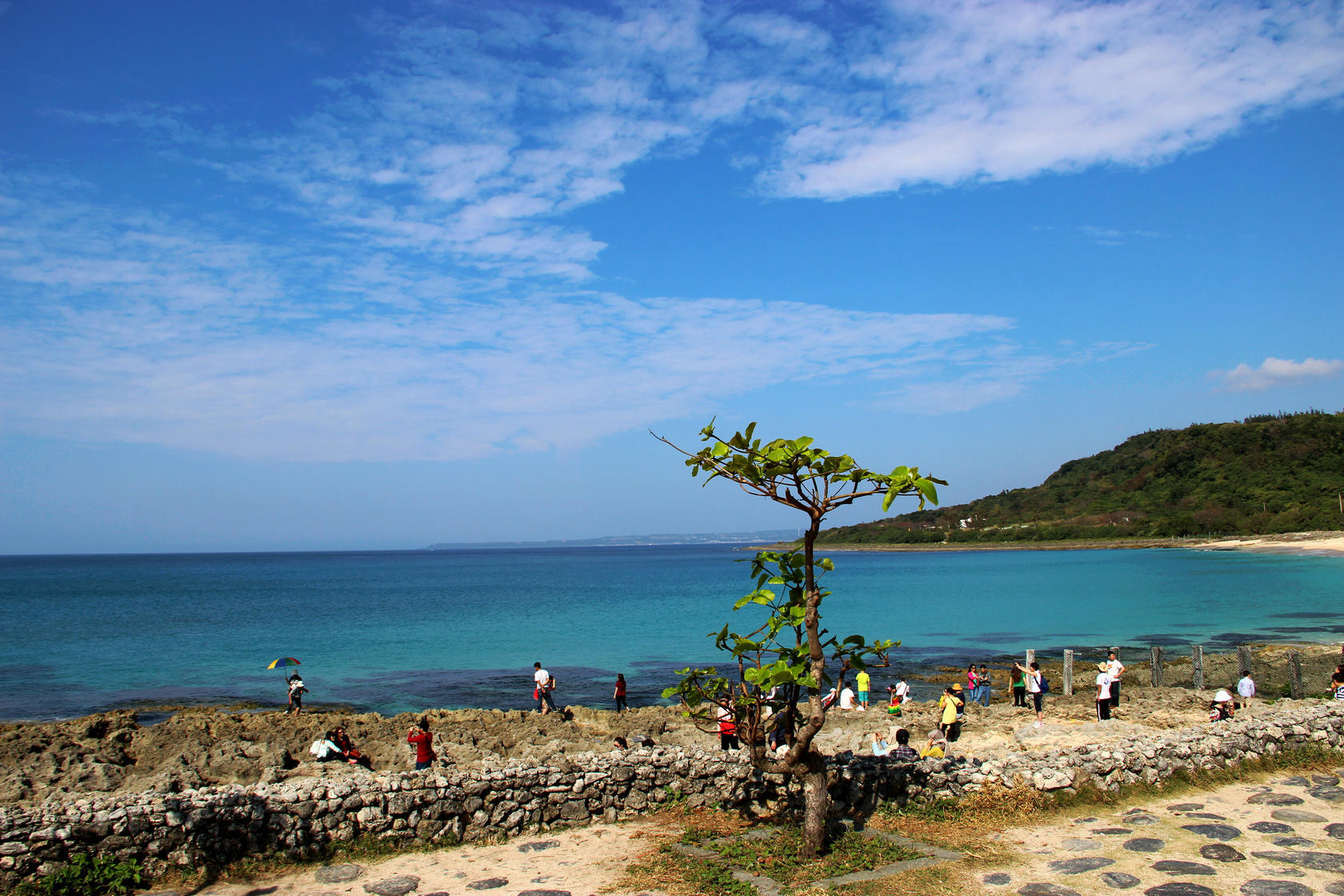 探索台湾，揭开被遗忘的宝藏之美🌸